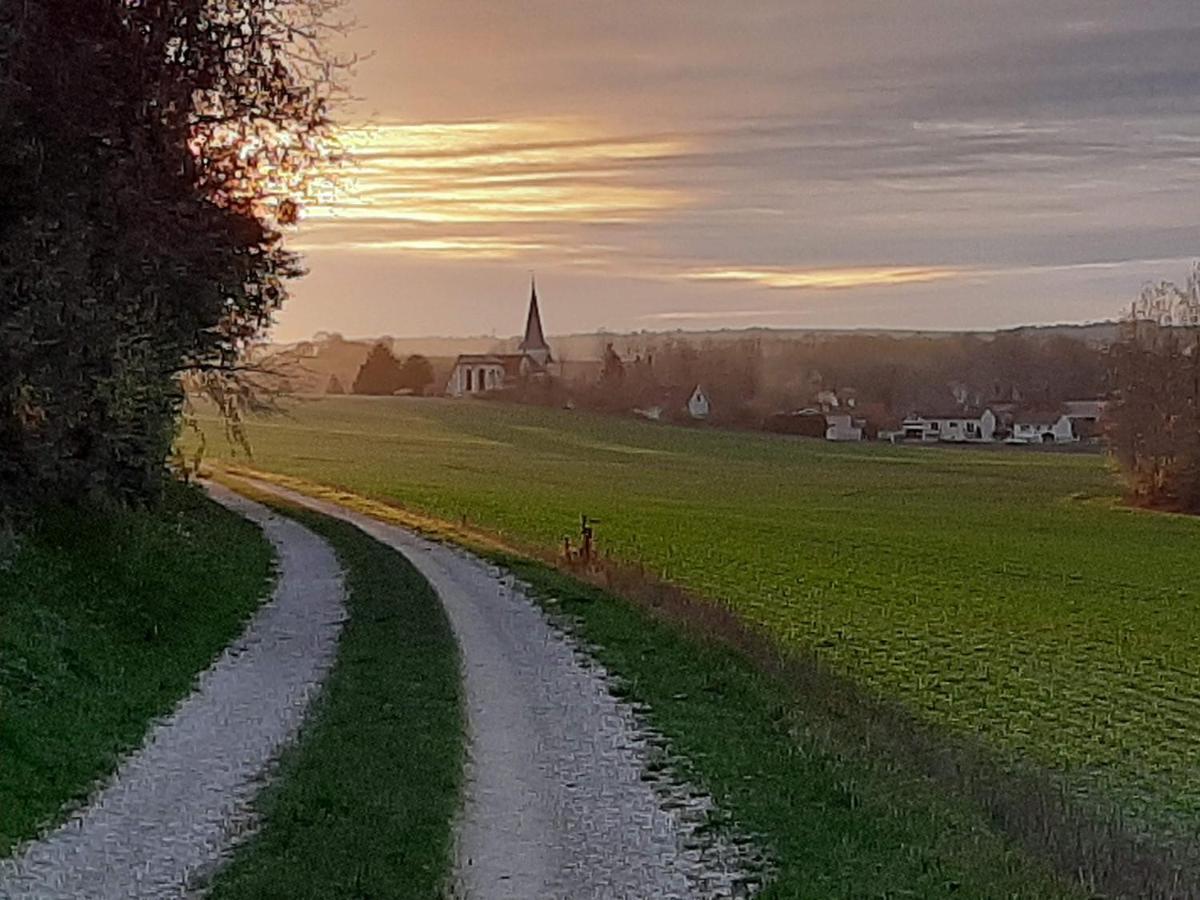 Chatrou Chatelraould-Saint-Louvent Zewnętrze zdjęcie